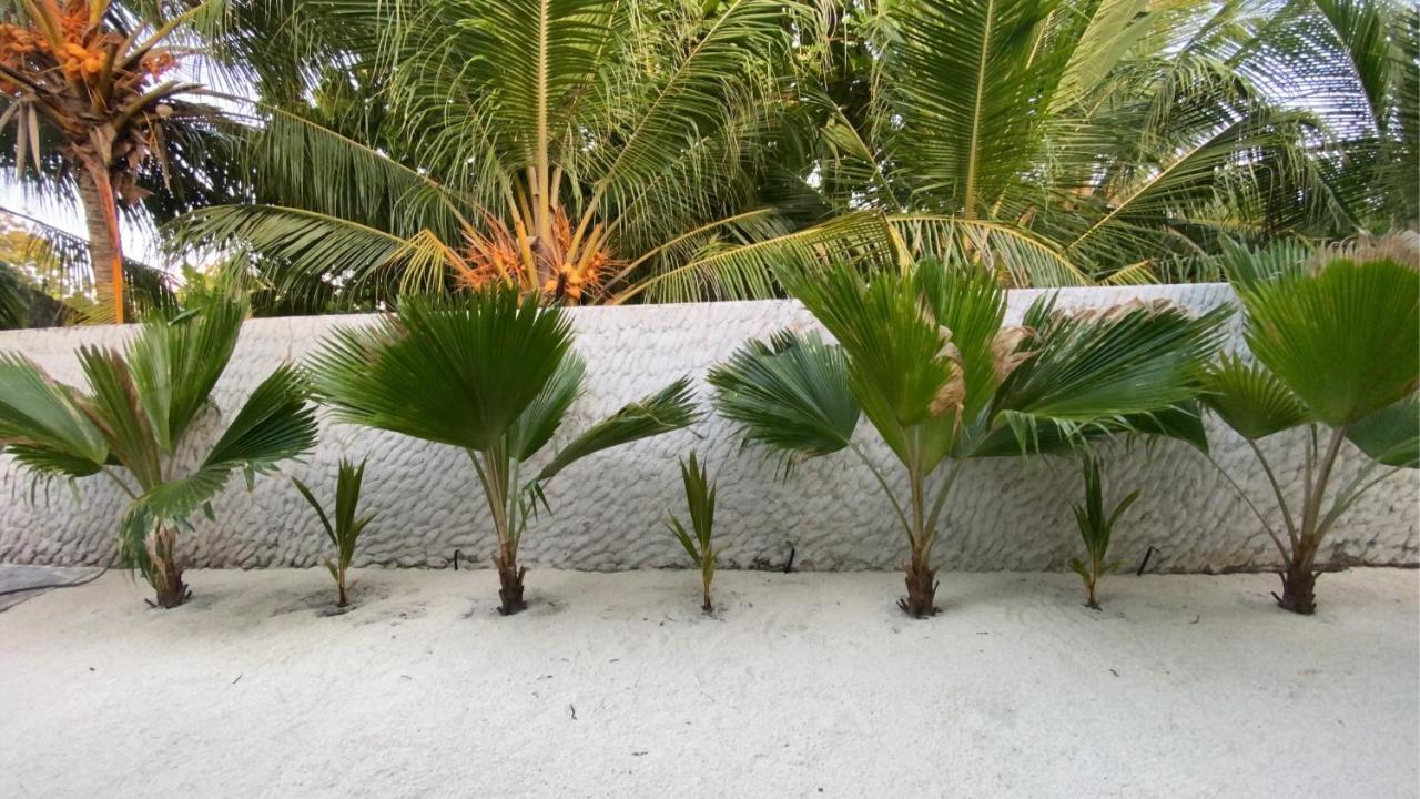 Oasis Village Fenfushi, Maldives 外观 照片