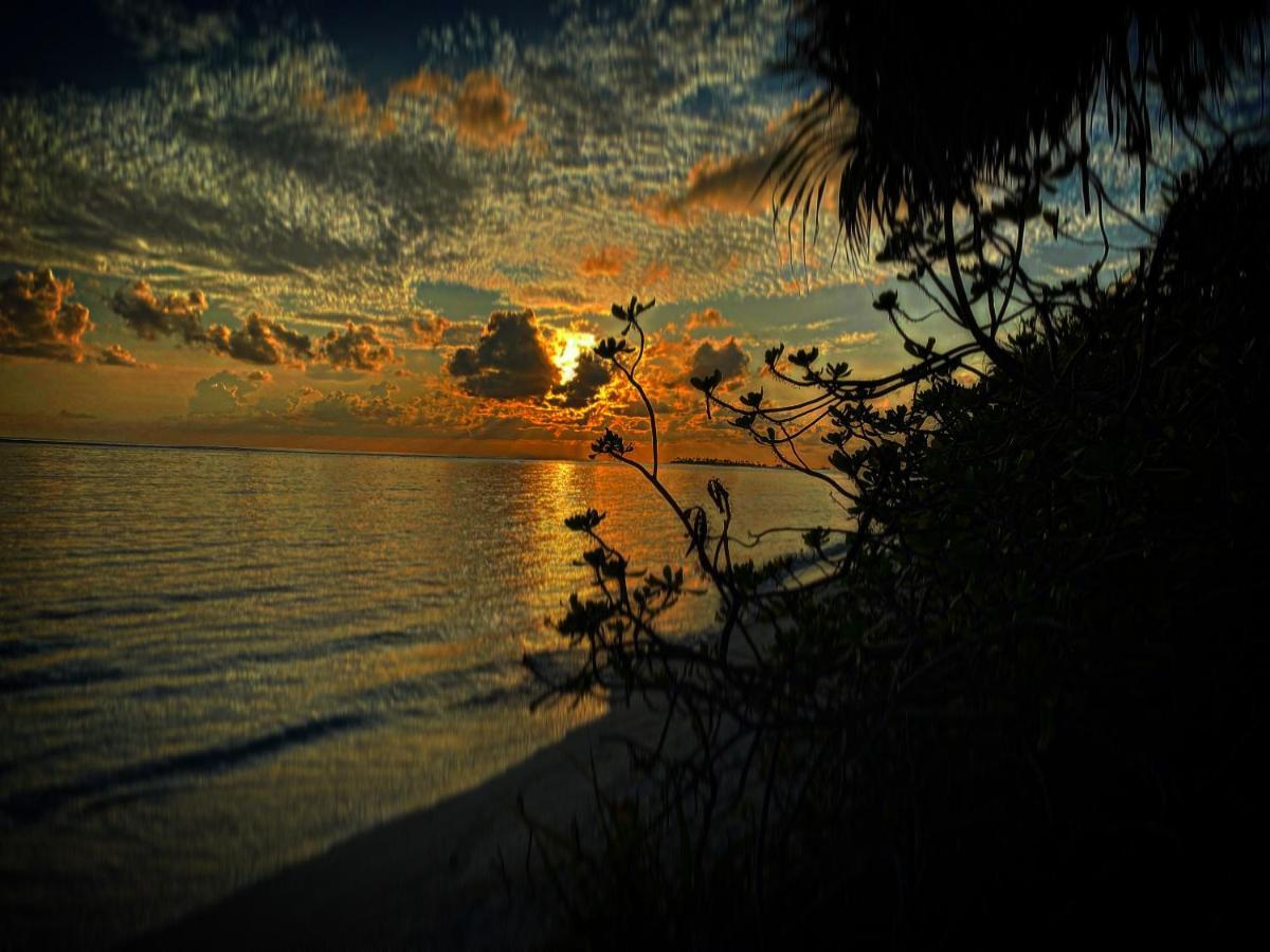Oasis Village Fenfushi, Maldives 外观 照片