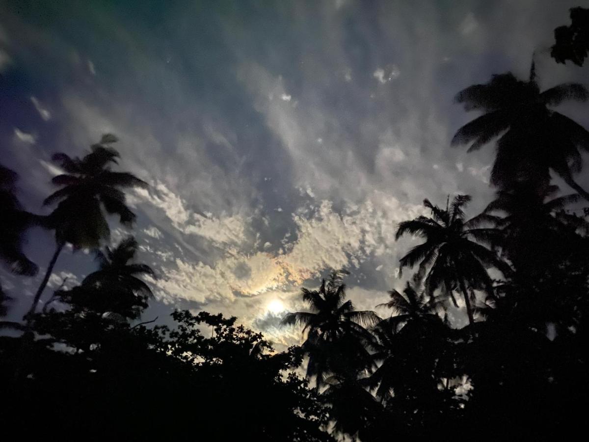Oasis Village Fenfushi, Maldives 外观 照片