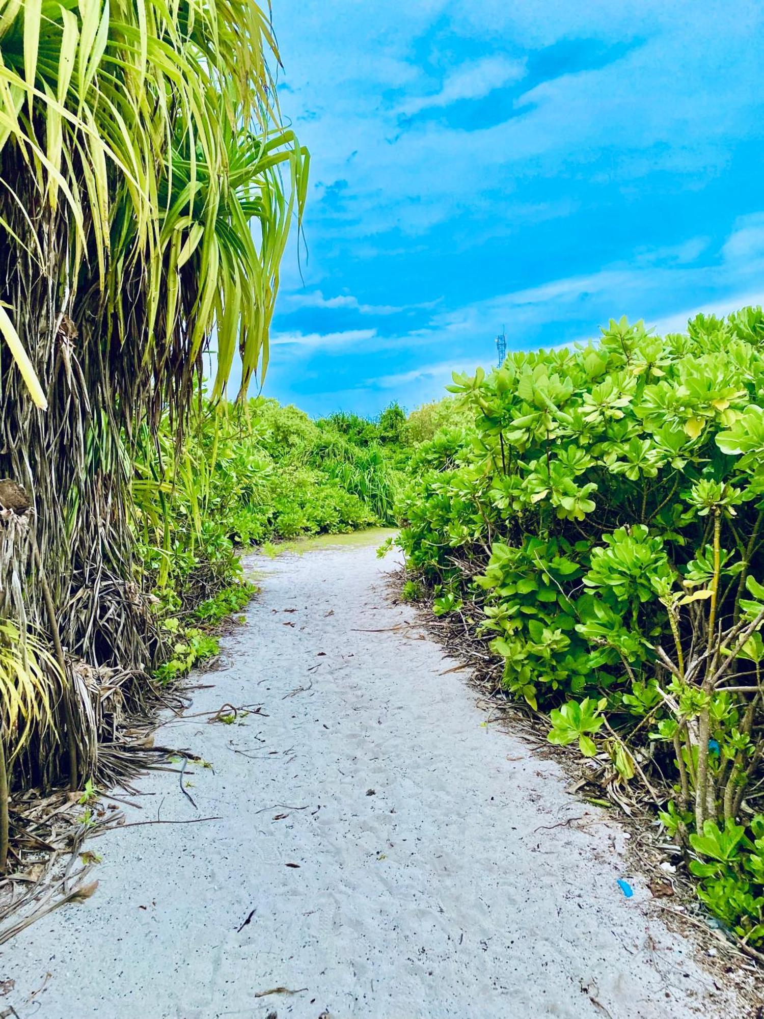 Oasis Village Fenfushi, Maldives 外观 照片